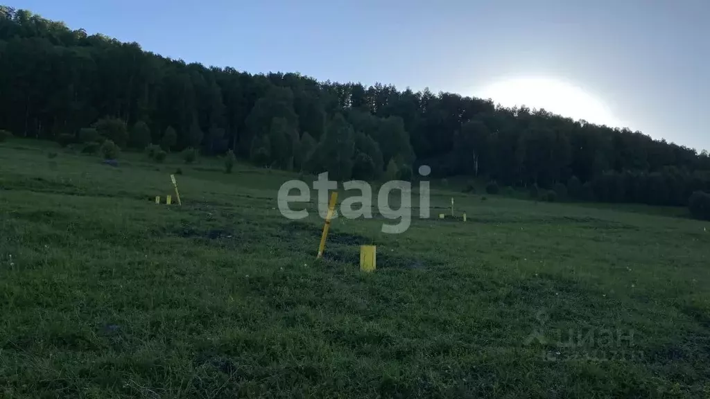 Участок в Алтай, Майминский район, с. Бирюля ул. Таркольская, 5 (15.0 ... - Фото 2