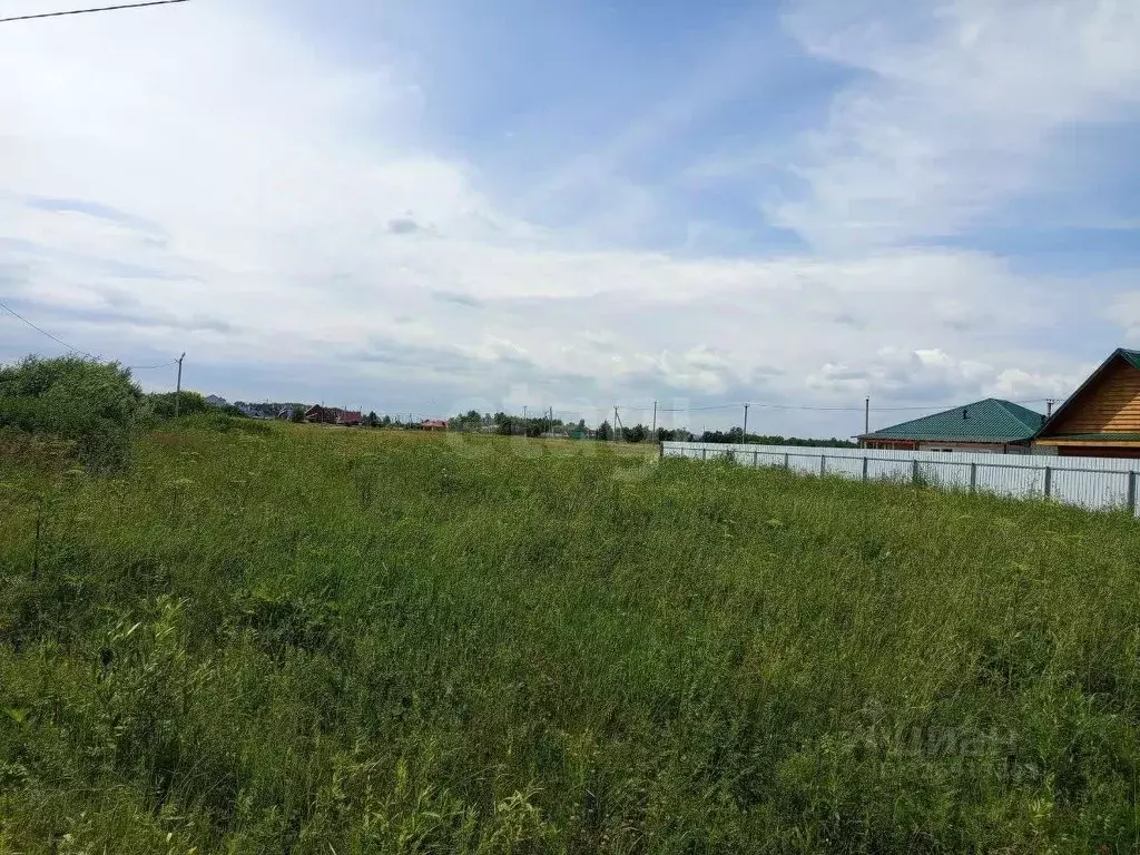 Участок в Тюменская область, Тюменский муниципальный округ, с. Борки ... - Фото 1