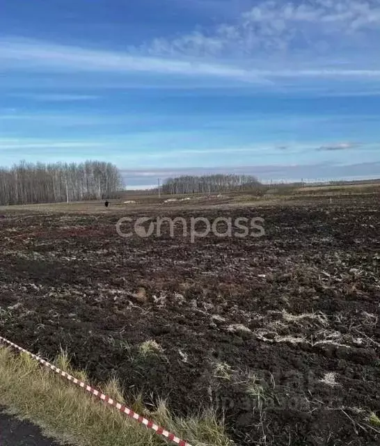 Участок в Тюменская область, Тюменский район, с. Горьковка Сибирская ... - Фото 1