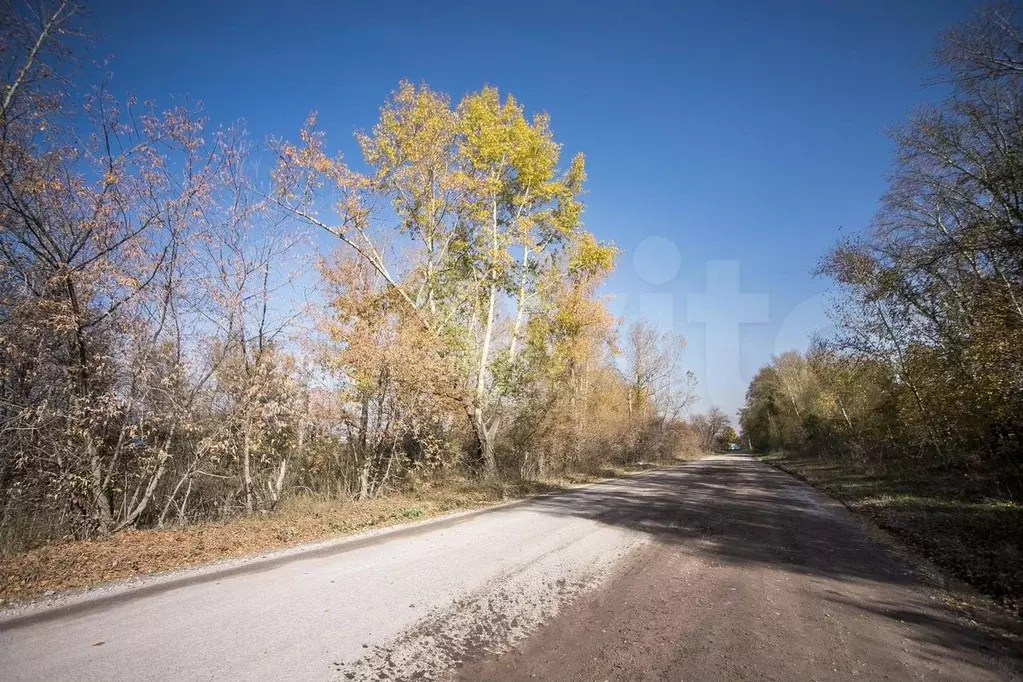 Участок 11 сот. (СНТ, ДНП) - Фото 0