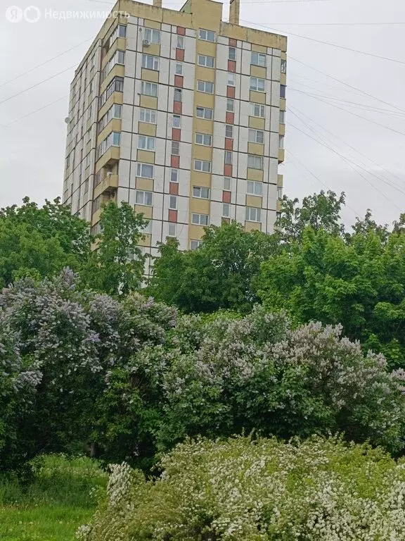 1-комнатная квартира: Санкт-Петербург, Дачный проспект, 3к7 (35 м) - Фото 1