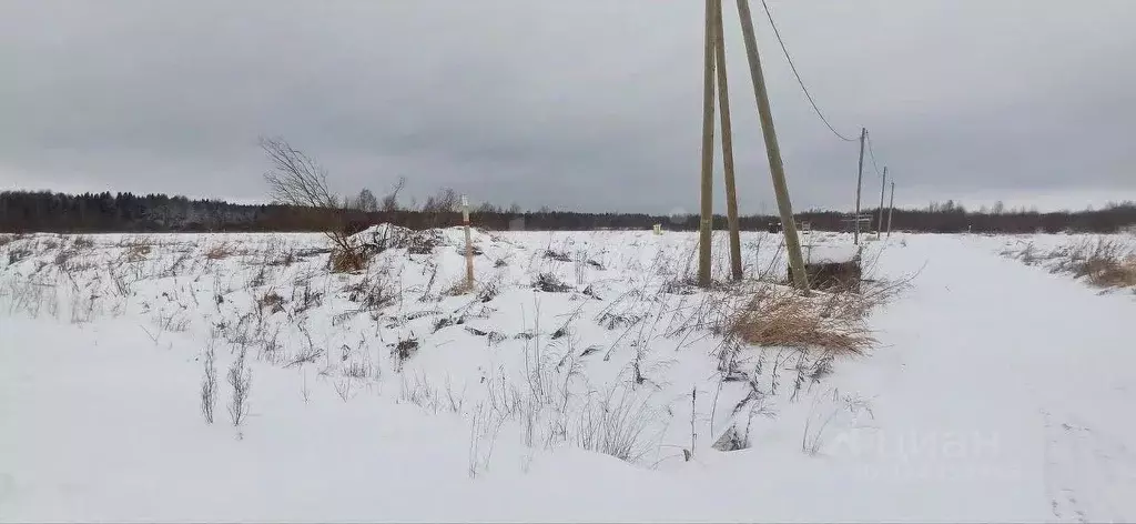Участок в Вологодская область, Шекснинский муниципальный округ, д. ... - Фото 1