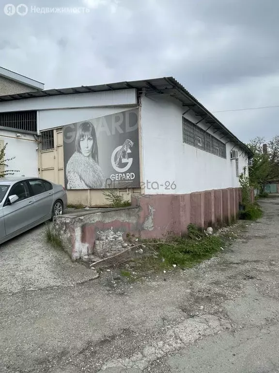 Помещение свободного назначения (390 м) - Фото 1