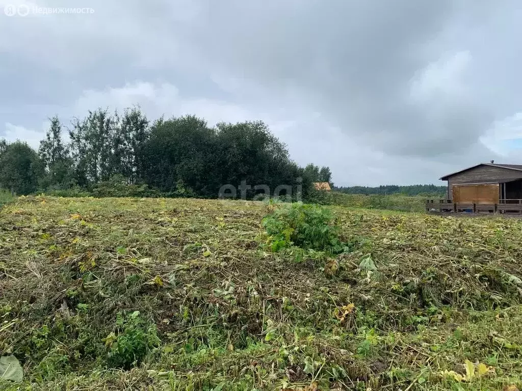 Участок в село Выльгорт, Родниковая улица, 5-й проезд (11 м) - Фото 1