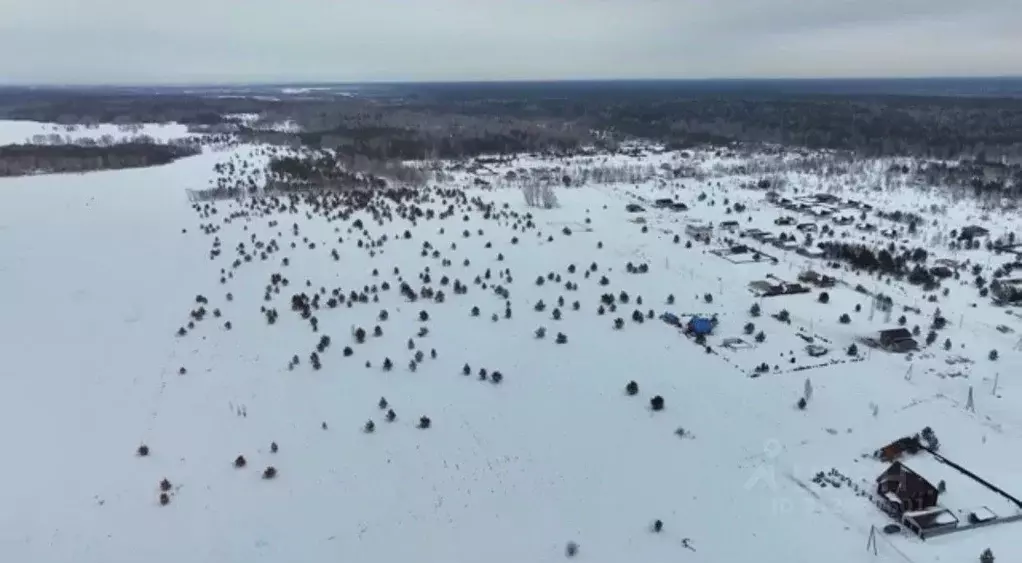 Участок в Алтайский край, Первомайский район, с. Фирсово, Рощино мкр ... - Фото 1