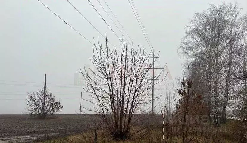 Участок в Белгородская область, Старооскольский городской округ, с. ... - Фото 1