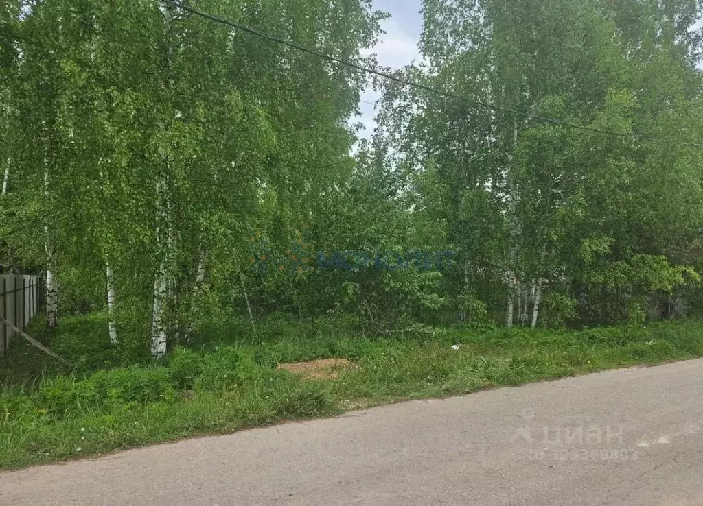 Участок в Нижегородская область, Дальнеконстантиновский муниципальный ... - Фото 1