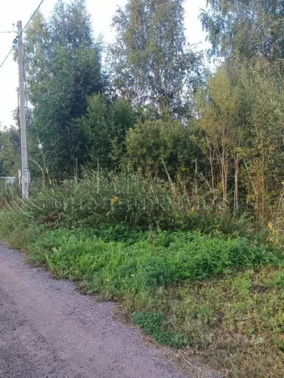 Участок в Ленинградская область, Выборгский район, Советское городское ... - Фото 1