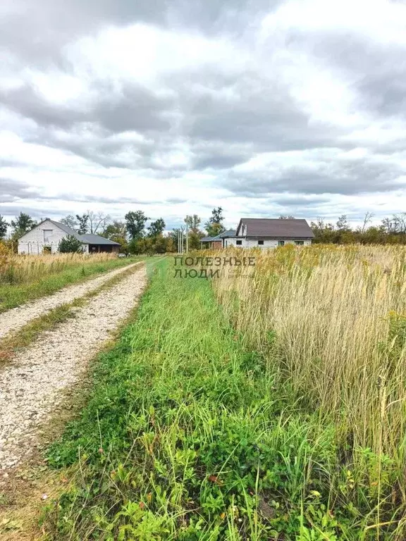 Участок в Орловская область, Кромской район, Большеколчевское с/пос, ... - Фото 1