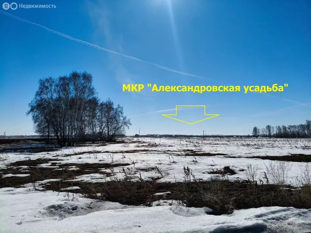 Участок в муниципальный округ Омский район, село Дружино (1424 м) - Фото 2