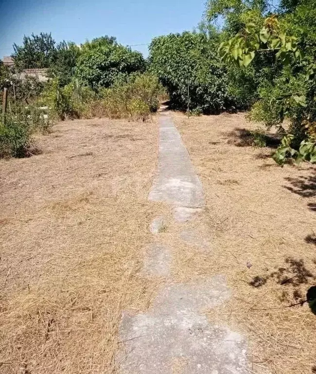 Дом в Крым, Черноморское пгт, Тарханкут СНТ 263 (32 м) - Фото 1