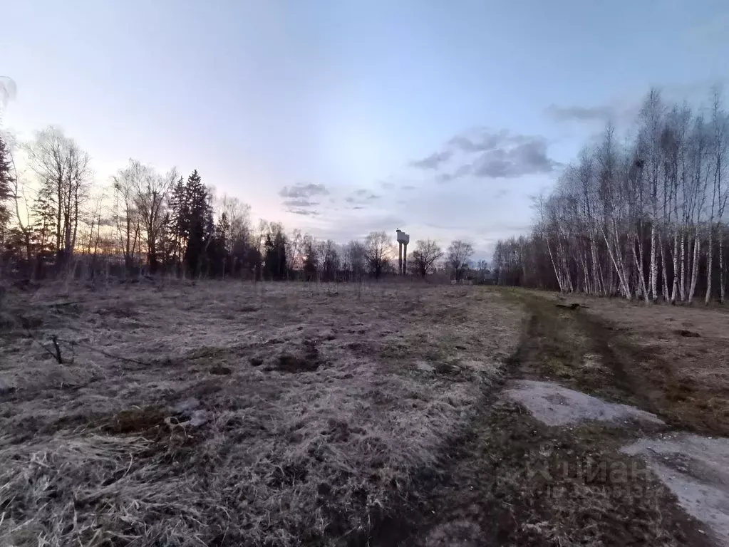 Участок в Московская область, Рузский муниципальный округ, д. Комлево ... - Фото 1