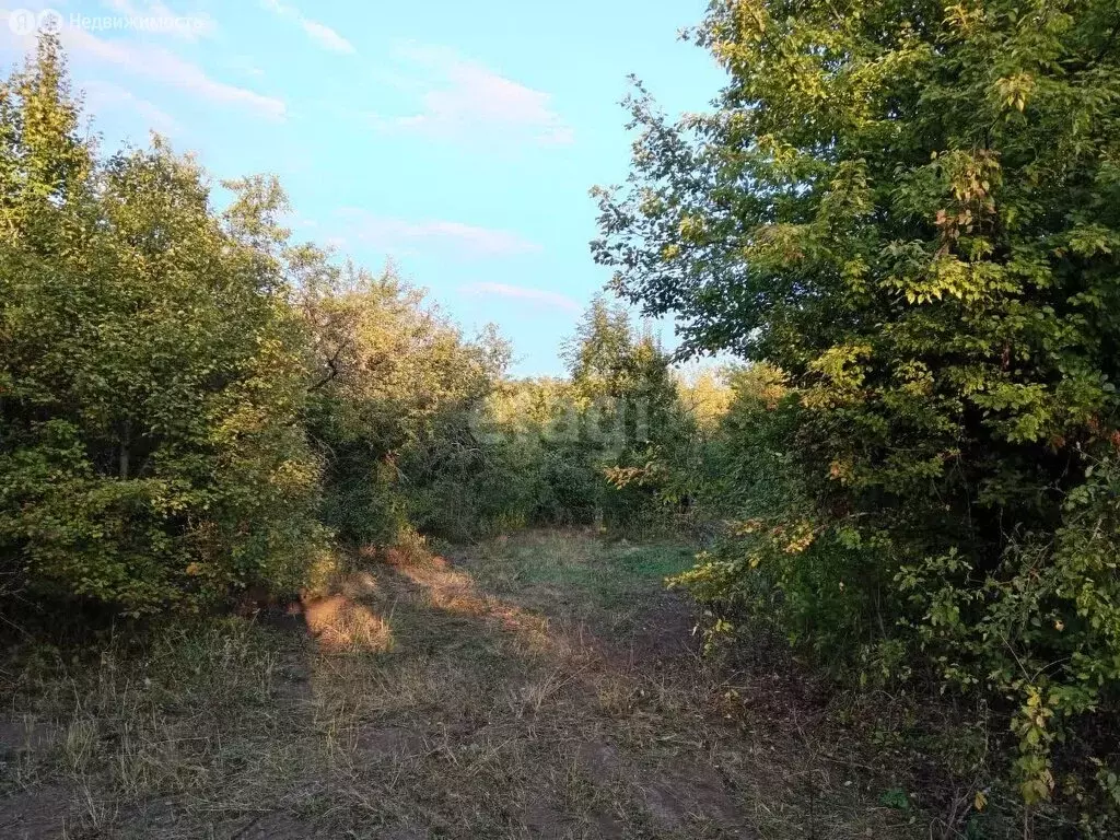 Участок в Белгородская область, Новооскольский муниципальный округ, ... - Фото 0