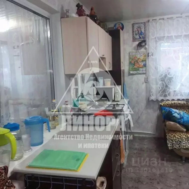 Дом в Омская область, Омск СОСН Дружба тер., аллея 6-я (53 м) - Фото 2