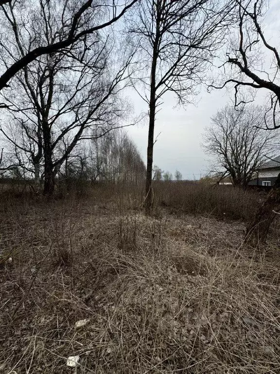 Участок в Московская область, Талдомский городской округ, д. Новая  ... - Фото 1