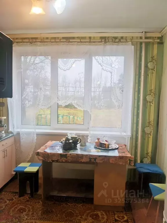 2-к кв. Ленинградская область, Сланцевский район, Гостицкое с/пос, д. ... - Фото 2