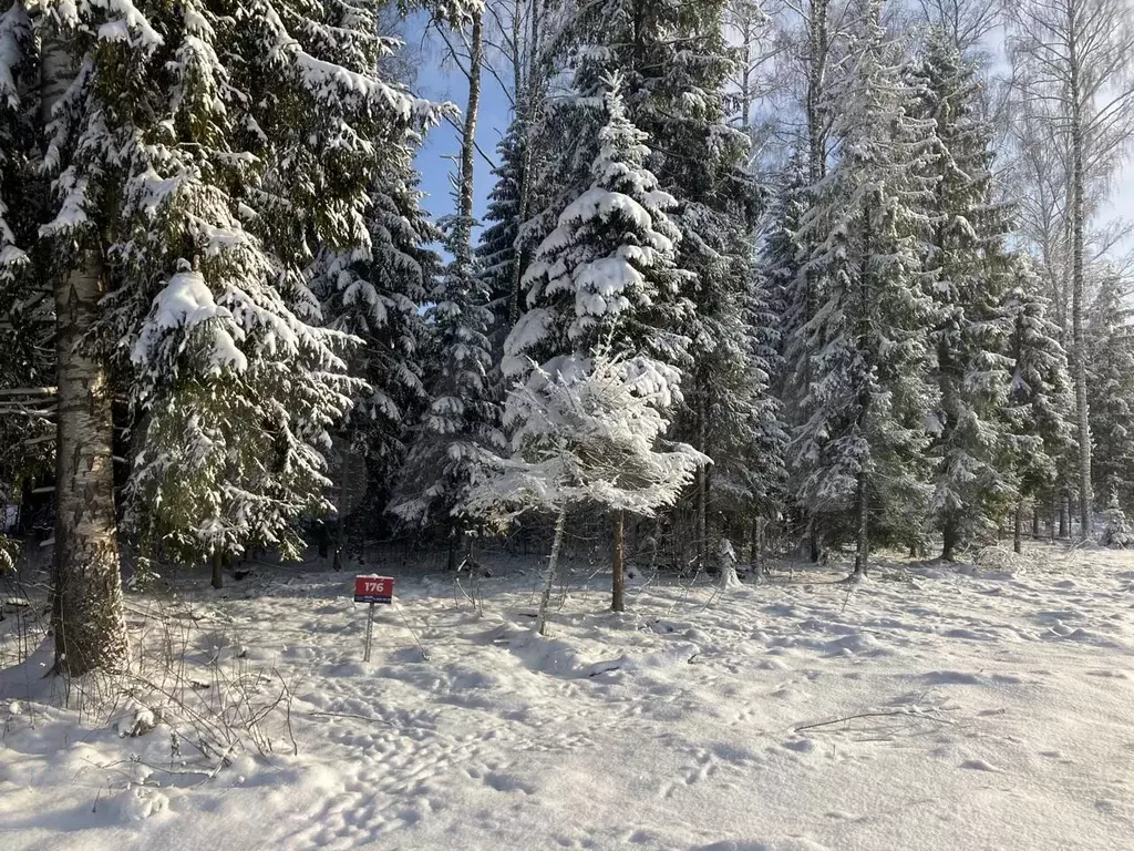 Участок 10,5 сот. (СНТ, ДНП) - Фото 0