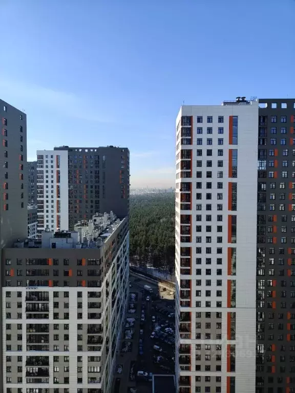 1-к кв. Московская область, Котельники ул. Сосновая, 1к2 (35.0 м) - Фото 2