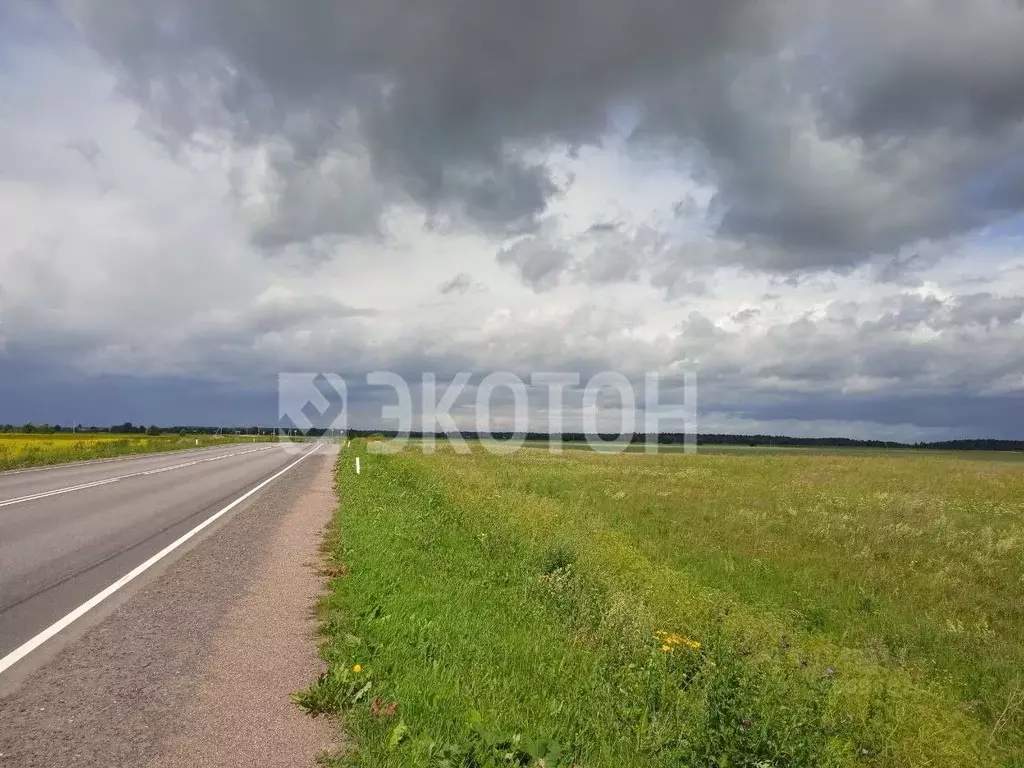 Участок в Ленинградская область, Волосовский район, Калитинское с/пос, ... - Фото 1