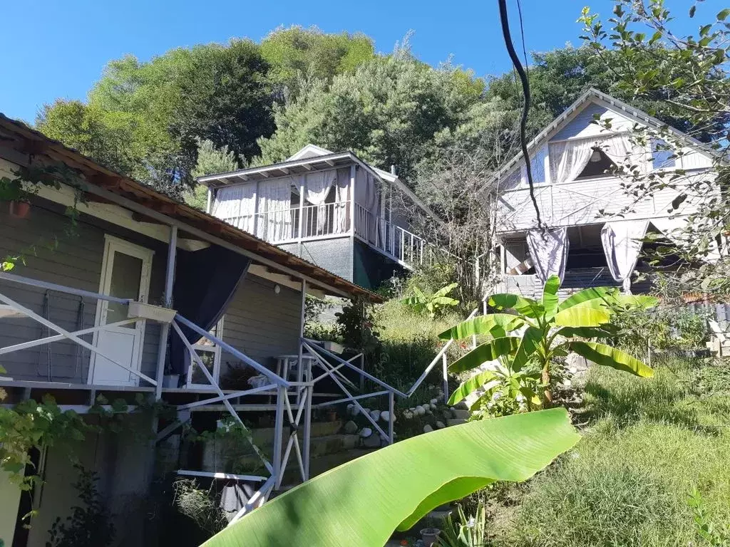 Комната Краснодарский край, Сочи ул. Ольховая, 28 - Фото 1