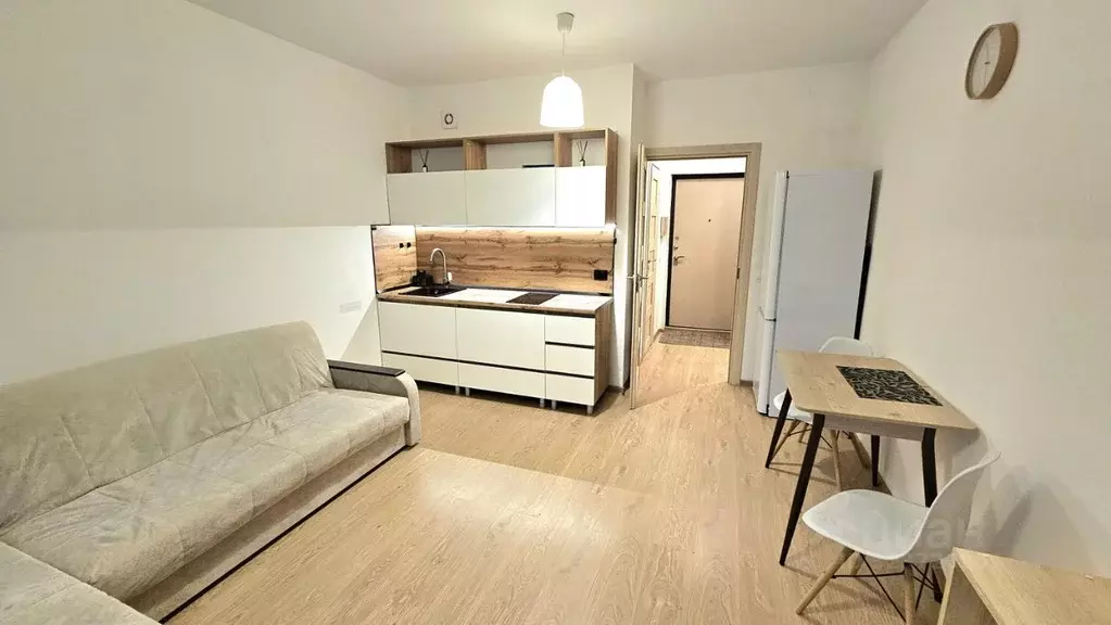 Студия Санкт-Петербург ул. Летчика Лихолетова, 14к2 (24.2 м) - Фото 2