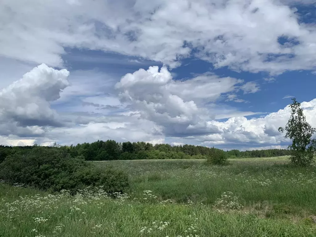 Участок в Карелия, Сортавальский муниципальный округ, пос. Оявойс  ... - Фото 0