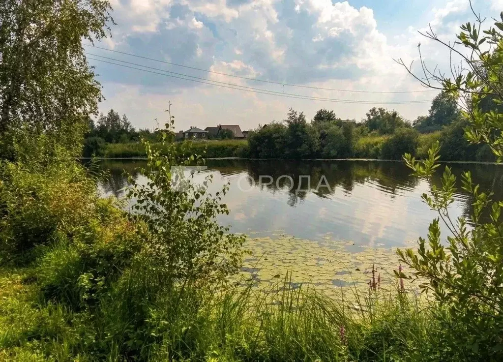 Участок в Новосибирская область, Коченевский район, Рыбачий кп ул. ... - Фото 2
