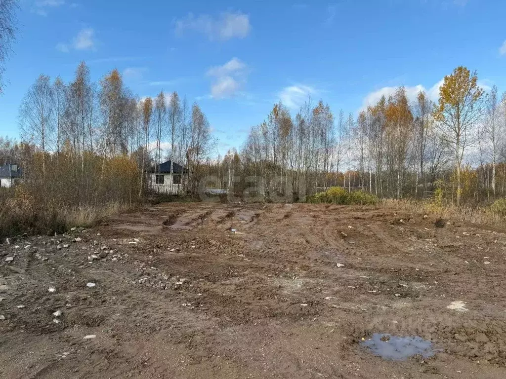 Участок в Смоленская область, Смоленский муниципальный округ, д. ... - Фото 1