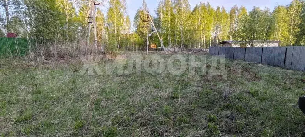 Участок 10 сот. (СНТ, ДНП) - Фото 0