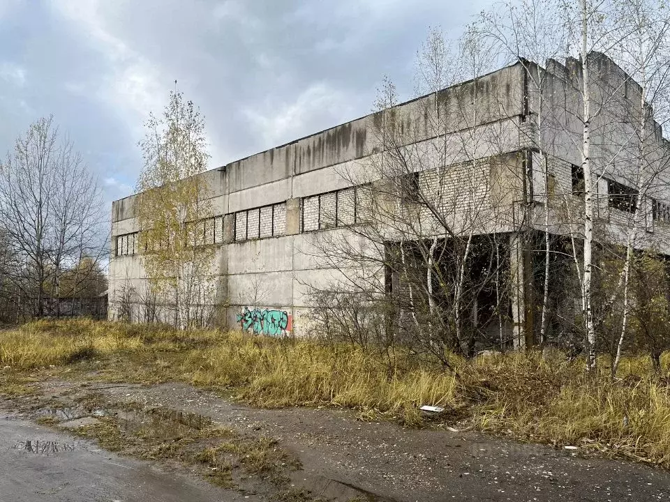 Производственное помещение в Владимирская область, Александров ул. ... - Фото 0