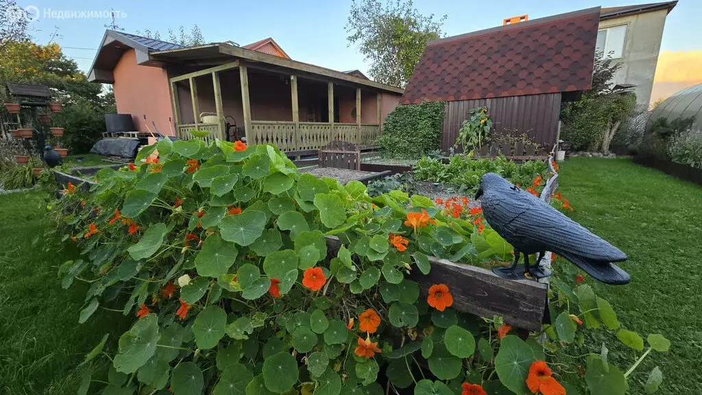 Дом в Калининград, СНТ Колосок, улица Оптимистов, 26 (120 м) - Фото 2