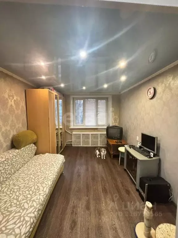 1-к кв. Липецкая область, Липецк Звездная ул., 16 (17.1 м) - Фото 1