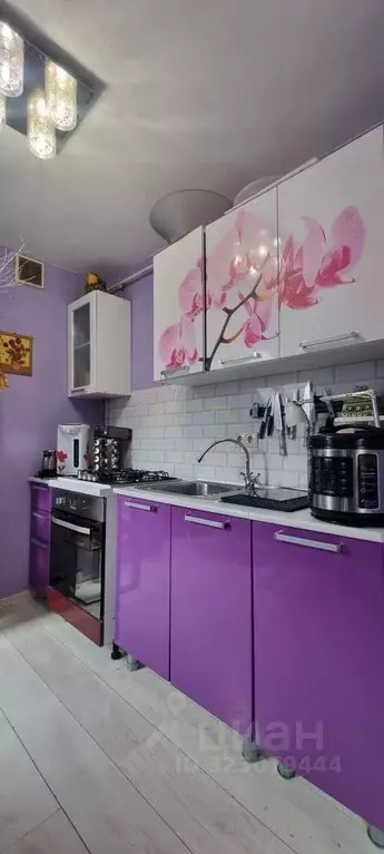 Студия Московская область, Дмитровский муниципальный округ, с. ... - Фото 1