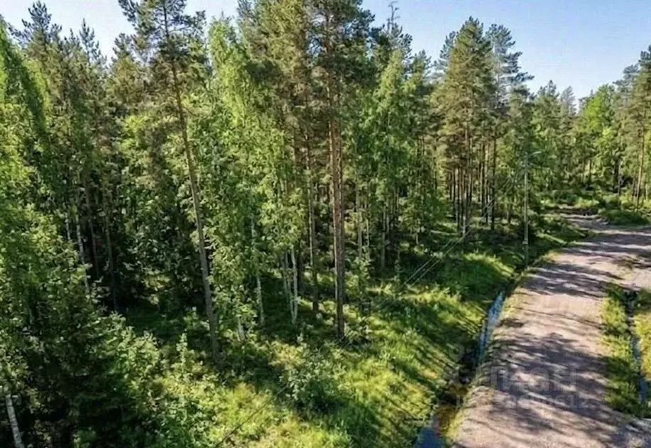 Участок в Ленинградская область, Выборгский район, Полянское с/пос, ... - Фото 2