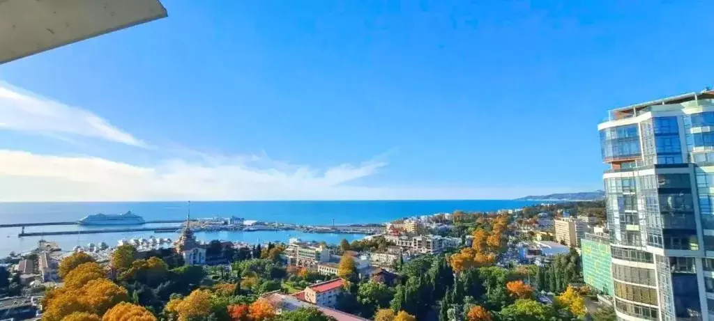 1-к кв. Краснодарский край, Сочи Пластунская ул., 55/1 (70.0 м) - Фото 0