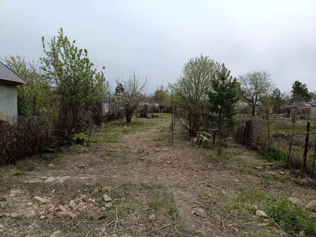 Участок в Оренбургская область, Оренбургский район, Степановский ... - Фото 1