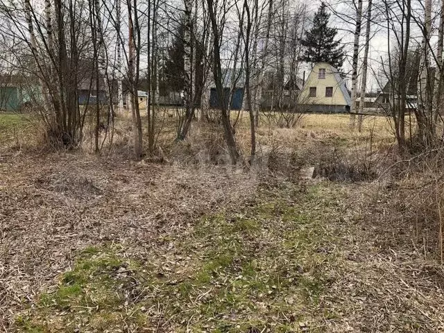 Участок 10,6 сот. (СНТ, ДНП) - Фото 0