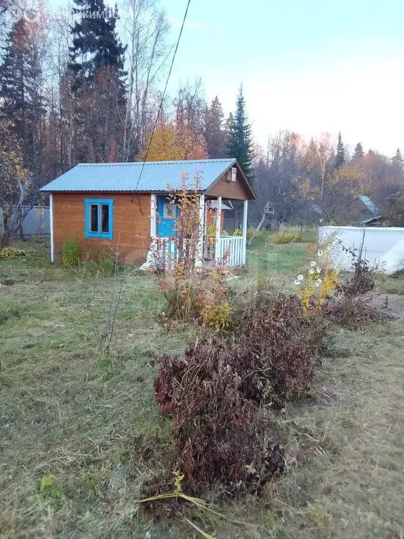 Участок в Медведевский район, Сидоровское сельское поселение, СНТ ... - Фото 2