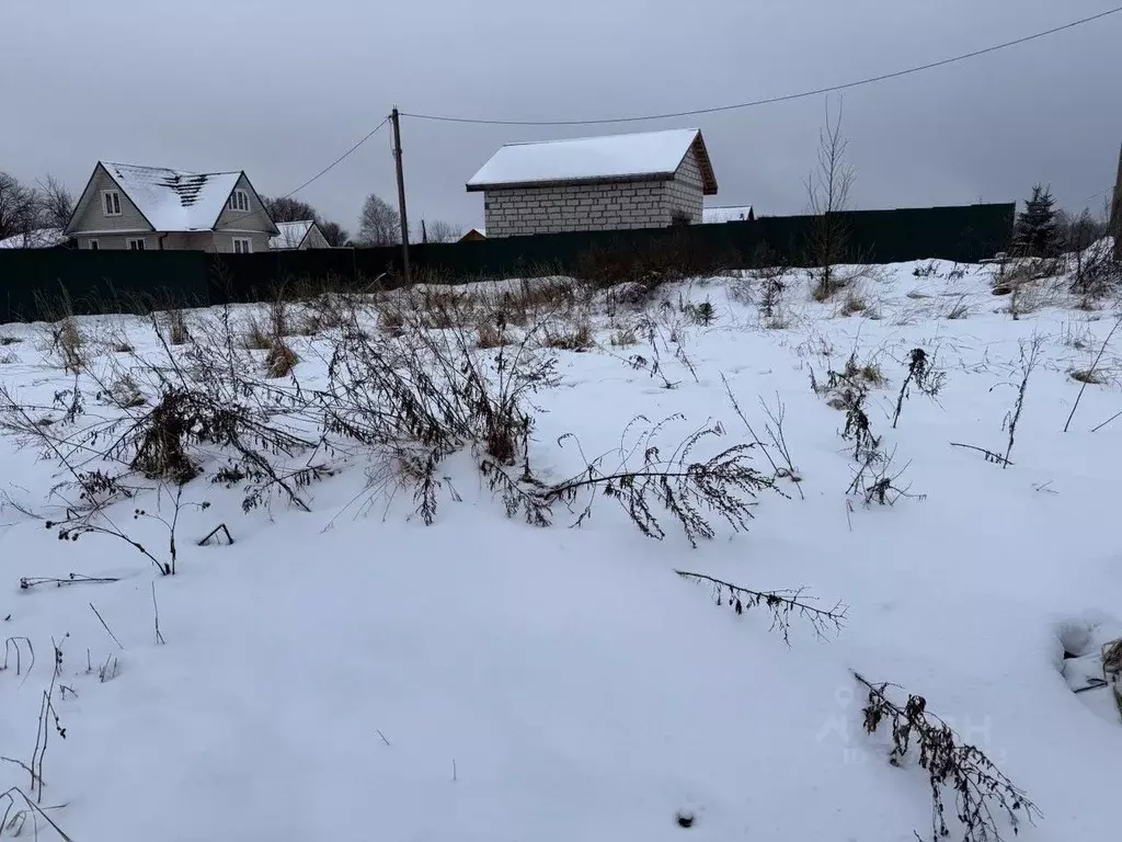 Участок в Московская область, Пушкинский городской округ, д. Никулино  ... - Фото 1