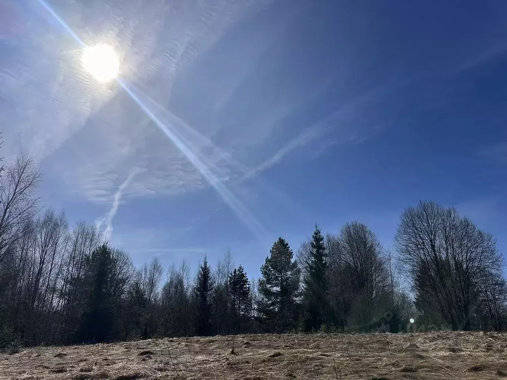 Участок в Тверская область, Селижаровский муниципальный округ, д. ... - Фото 2