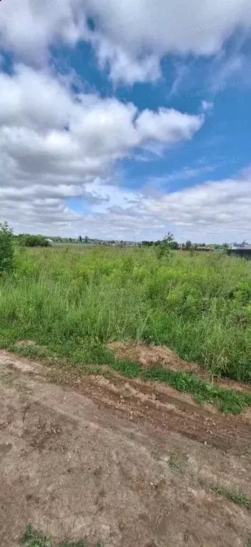 Участок в Московская область, Коломна городской округ, с. Непецино ул. ... - Фото 1