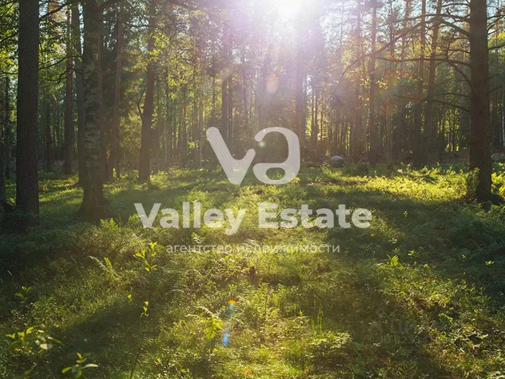 Участок, 16.6 сот., поселения (ижс) - Фото 1