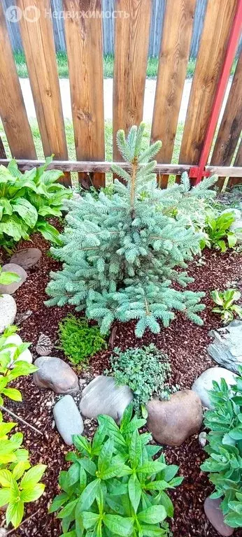 Дом в Чемал, Восточная улица, 44 (110 м) - Фото 1