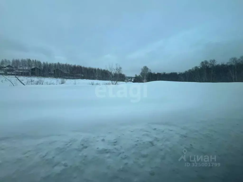 Участок в Новосибирская область, Новосибирский район, Каменский ... - Фото 2