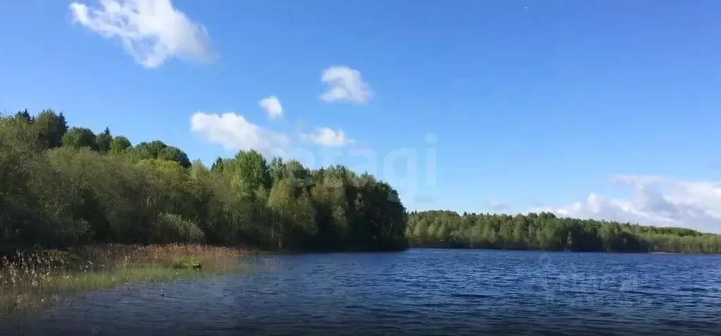 Участок в Вологодская область, Кирилловский муниципальный округ ул. ... - Фото 1