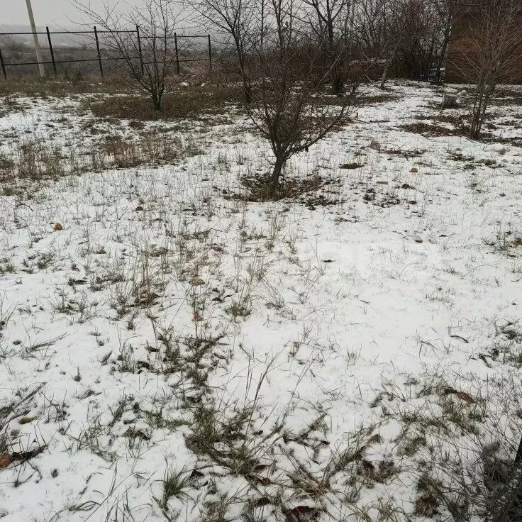 Участок в Ростовская область, Новочеркасск Надежда садовое ... - Фото 2