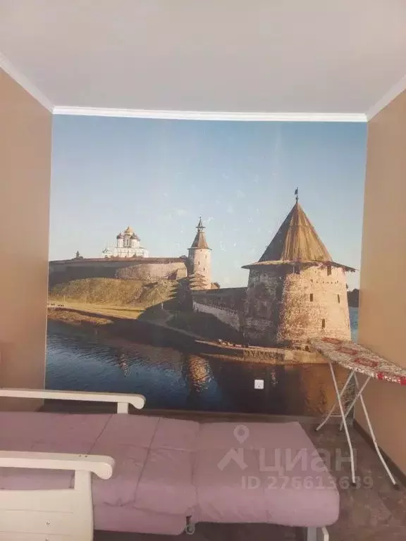 1-к кв. Псковская область, Псковский район, Завеличенская волость, д. ... - Фото 2