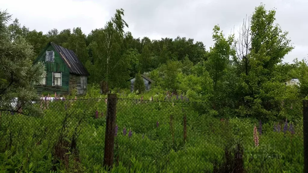 Участок в Московская область, Коломна городской округ, д. Кудрявцево ... - Фото 1