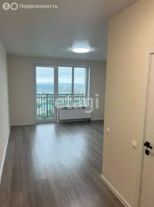 Квартира-студия: Новосибирск, улица Никитина, 67 (27.5 м) - Фото 1