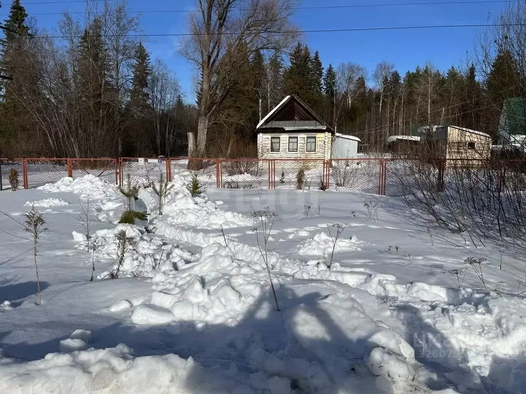 Дом в Удмуртия, Ижевск Воложка мкр, ул. Станционная, 3 (24 м) - Фото 1
